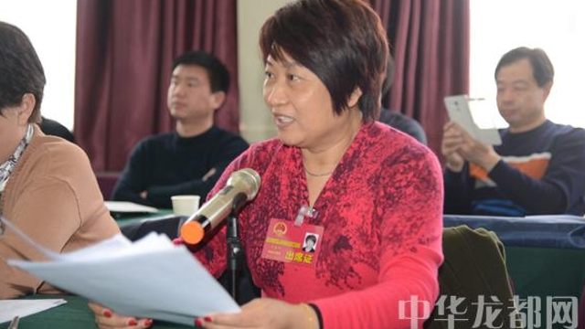 參會(huì )的人大代表各抒已見(jiàn)