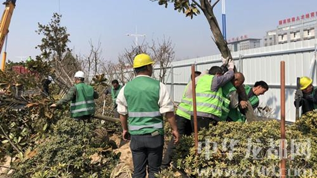 迎接省十三運會(huì )文昌大道綠化工程已完成近半 