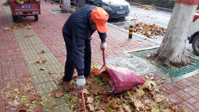 風(fēng)急雨驟落葉多 周口環(huán)衛工人清掃忙