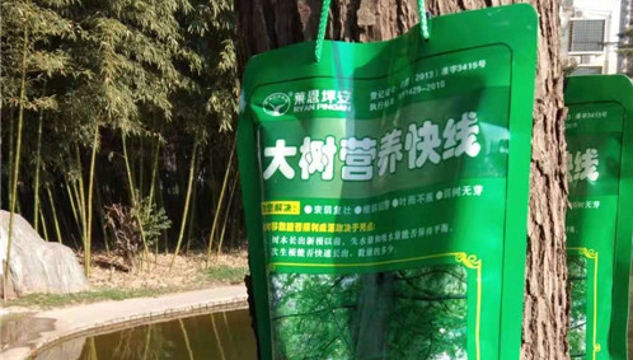 大樹(shù)“喝”上“營(yíng)養快線(xiàn)”