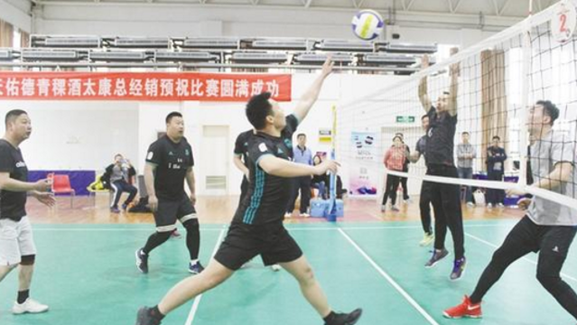 省氣排球邀請賽周口開(kāi)賽