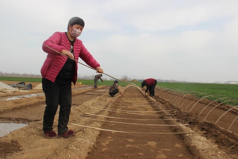 疫情防控、春耕生產(chǎn)兩手抓