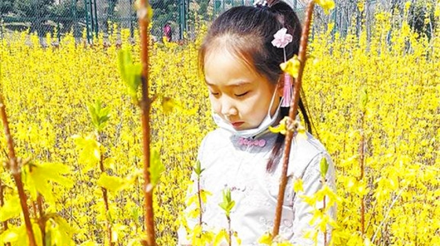 春光無(wú)限好 賞花正當時(shí)