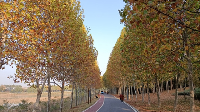 周口市植物園：賞秋正當時(shí)
