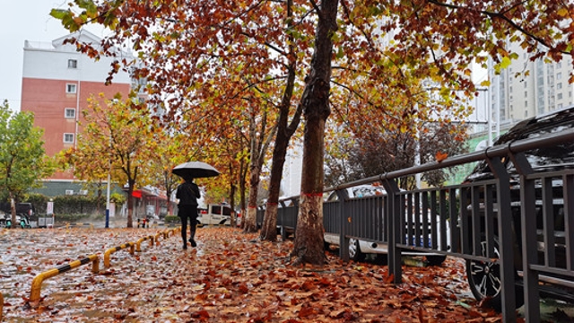 雨中周口，別有一番韻味