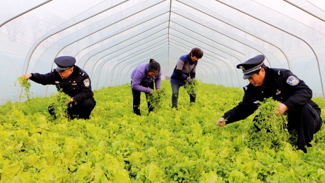 民警幫扶貧困戶(hù) 細致入微暖人心