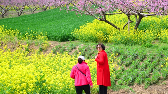 西華縣黃橋鄉農旅興促旺鄉村經(jīng)濟