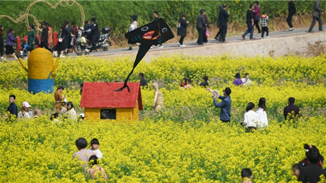 商水縣首屆金色花田樂(lè )游匯在鄧城鎮開(kāi)幕